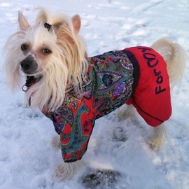Zimní oblečky na psy – overaly For My Dogs4